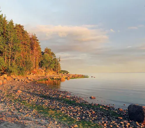 Фотография КП "Алые паруса" - участки в курортном районе у Финского залива