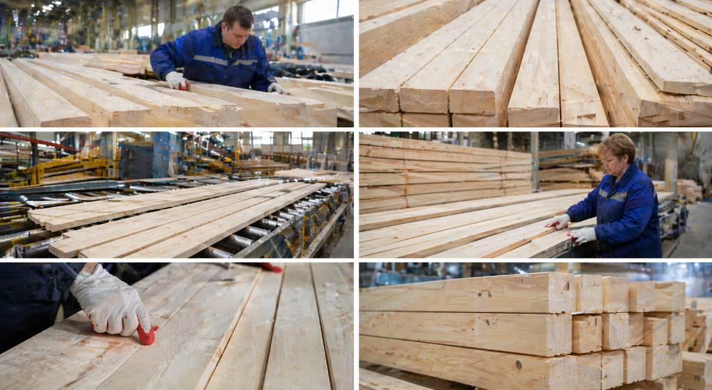 Как происходит отбор и сортировка ламелей по качеству